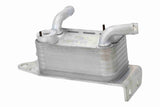 Oil Cooler, engine oil - V25-60-0078