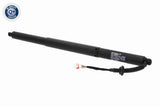 Electric Motor, tailgate - V10-55-0036