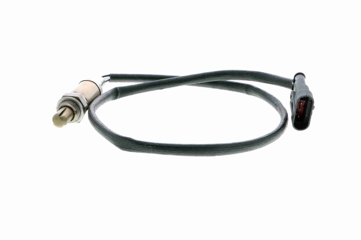 Oxygen Sensor - V24-76-0034