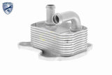 Oil Cooler, engine oil - V40-60-2106