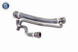 Radiator Hose - V20-1765