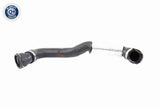 Radiator Hose - V20-2290
