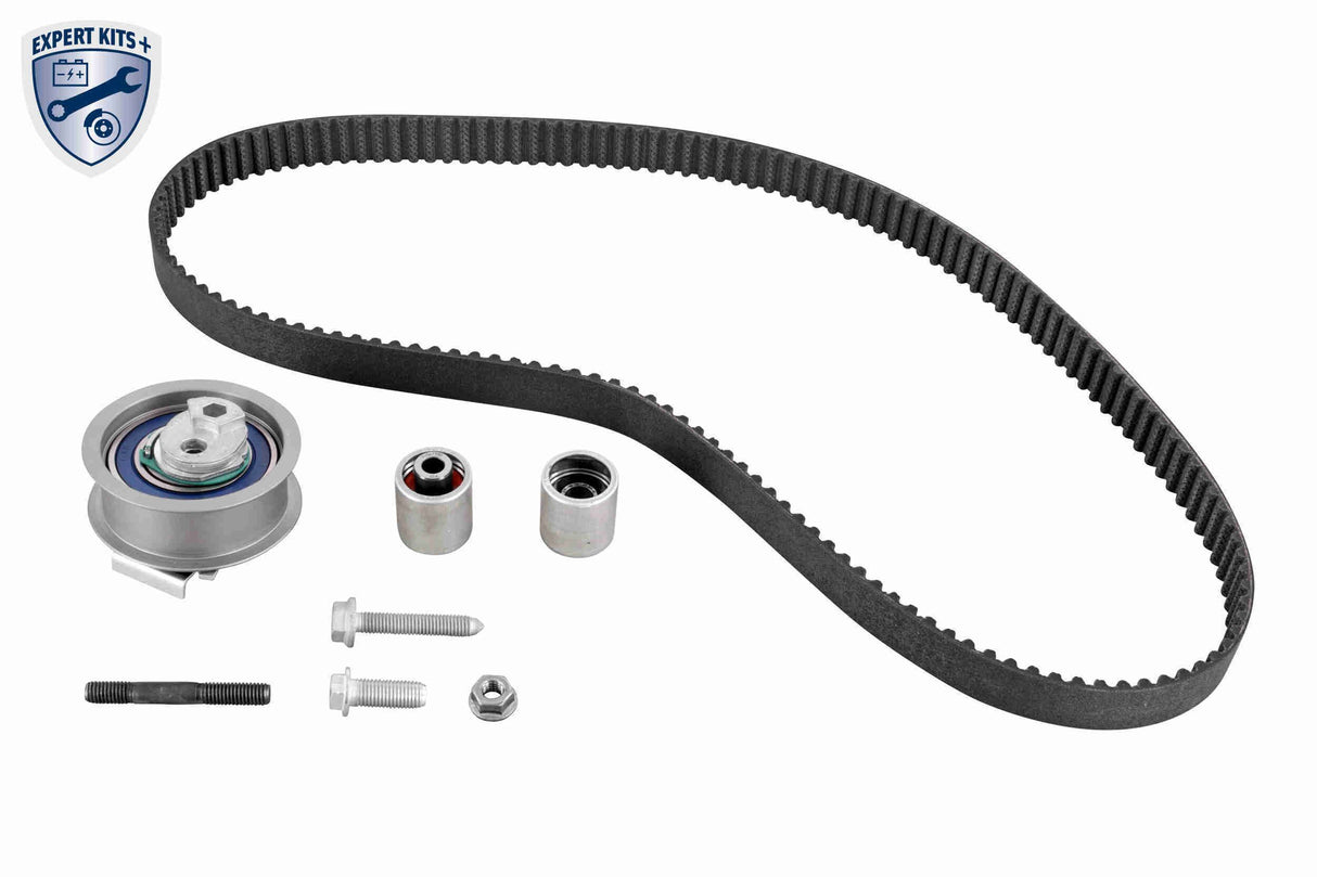 Timing Belt Kit - V10-4233