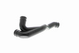 Hose, crankcase ventilation - V10-0796