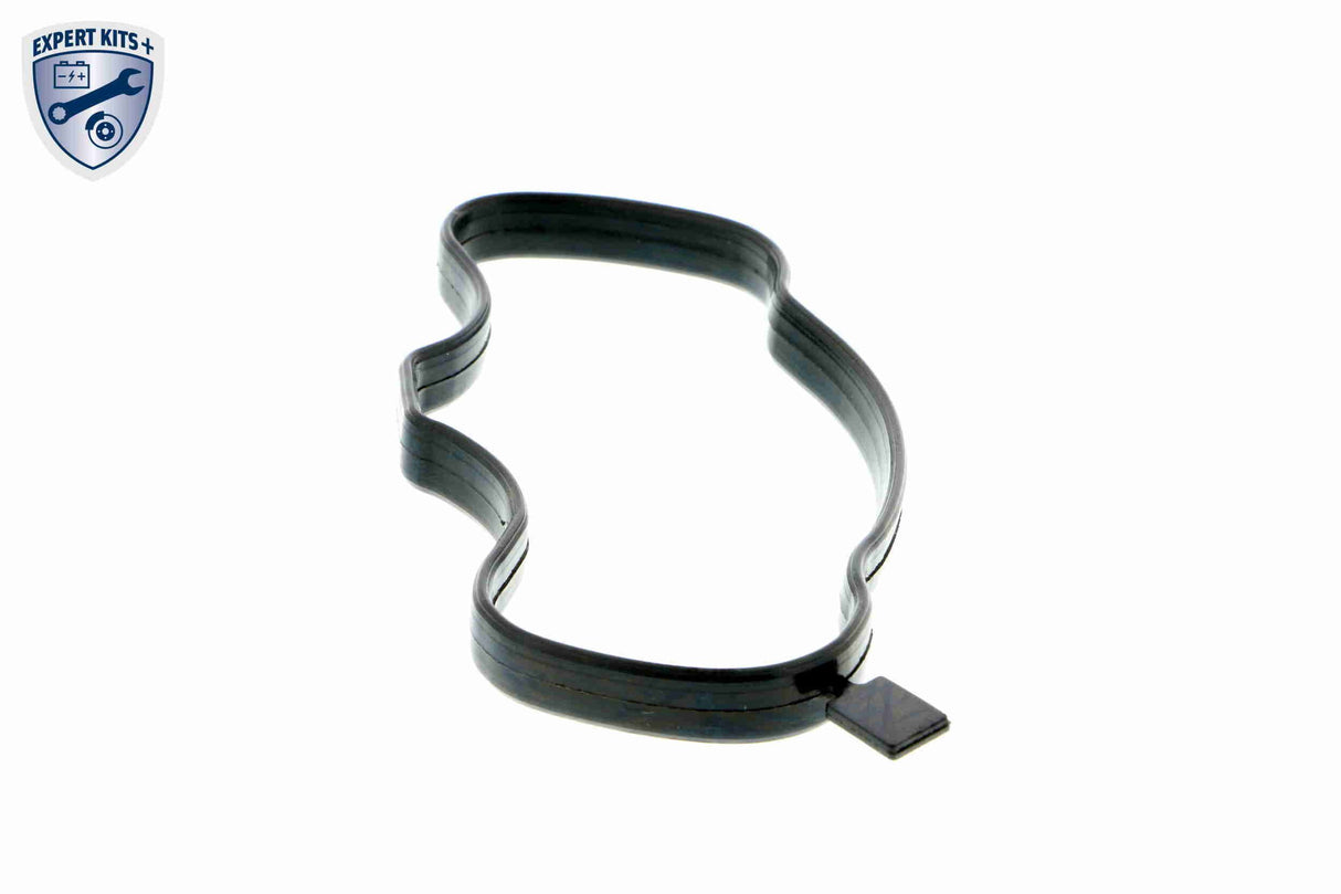 Valve, crankcase ventilation - V20-1857