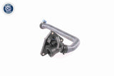 Radiator Hose - V20-2653
