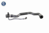 Radiator Hose - V20-1695