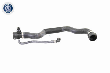 Radiator Hose - V20-1695