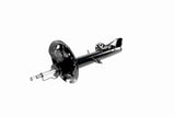 Shock Absorber - V20-7311