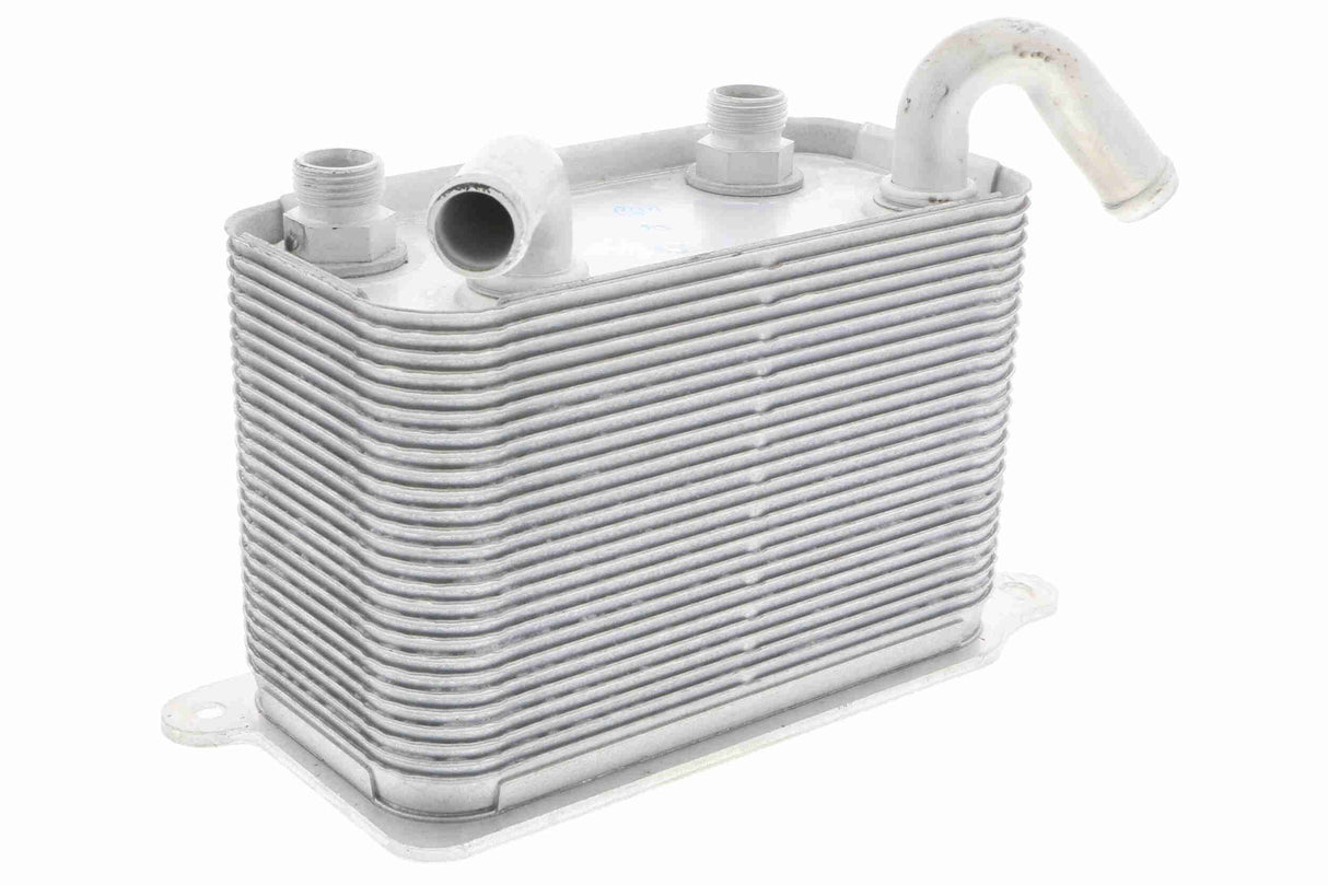 Oil Cooler, engine oil - V15-60-6067