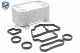 Oil Cooler, engine oil - V15-60-6061