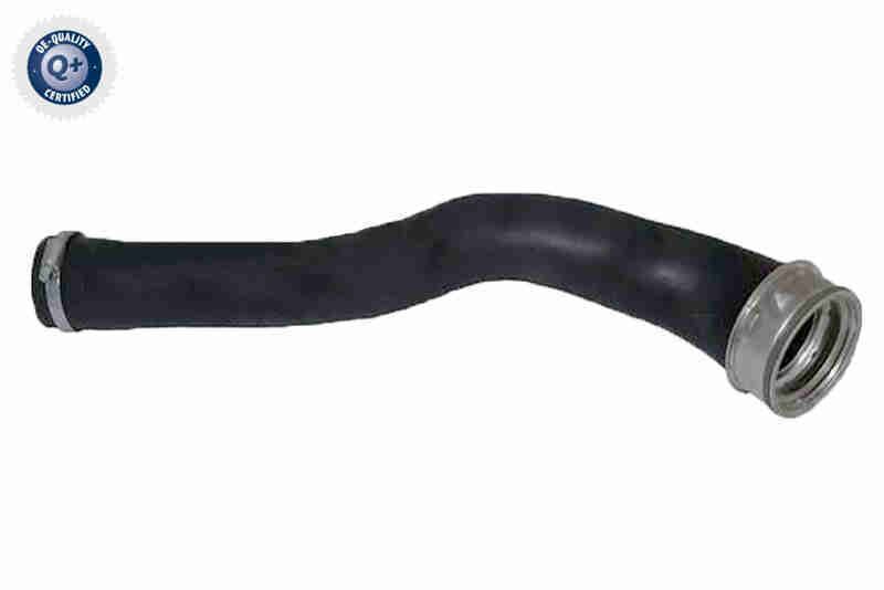 Charge Air Hose - V33-0038