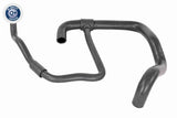 Radiator Hose - V46-1632