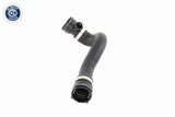 Radiator Hose - V20-0876