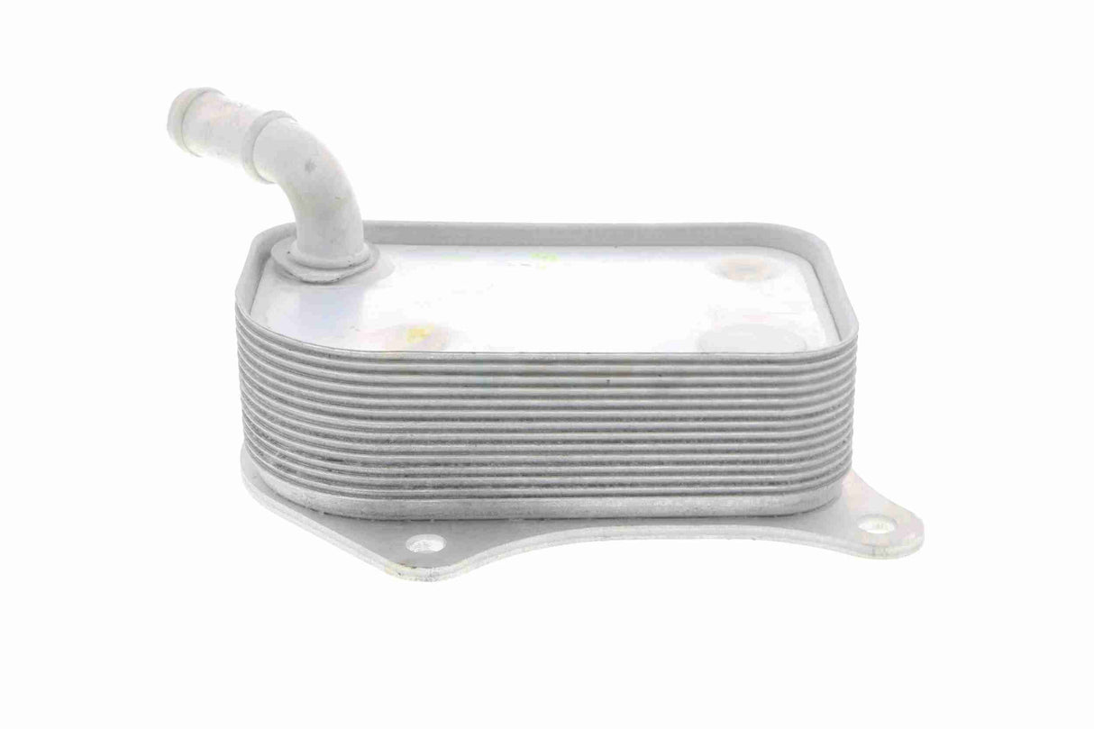 Oil Cooler, engine oil - V15-60-6071