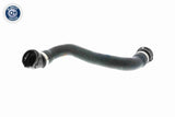 Radiator Hose - V20-1340