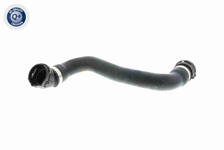 Radiator Hose - V20-1340