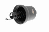Cap, oil filter housing - V10-4623