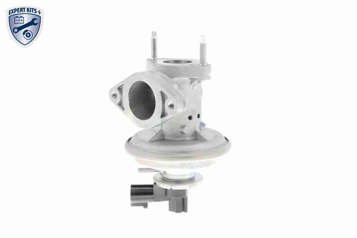 Valve, exhaust gas recirculation - V25-63-0021