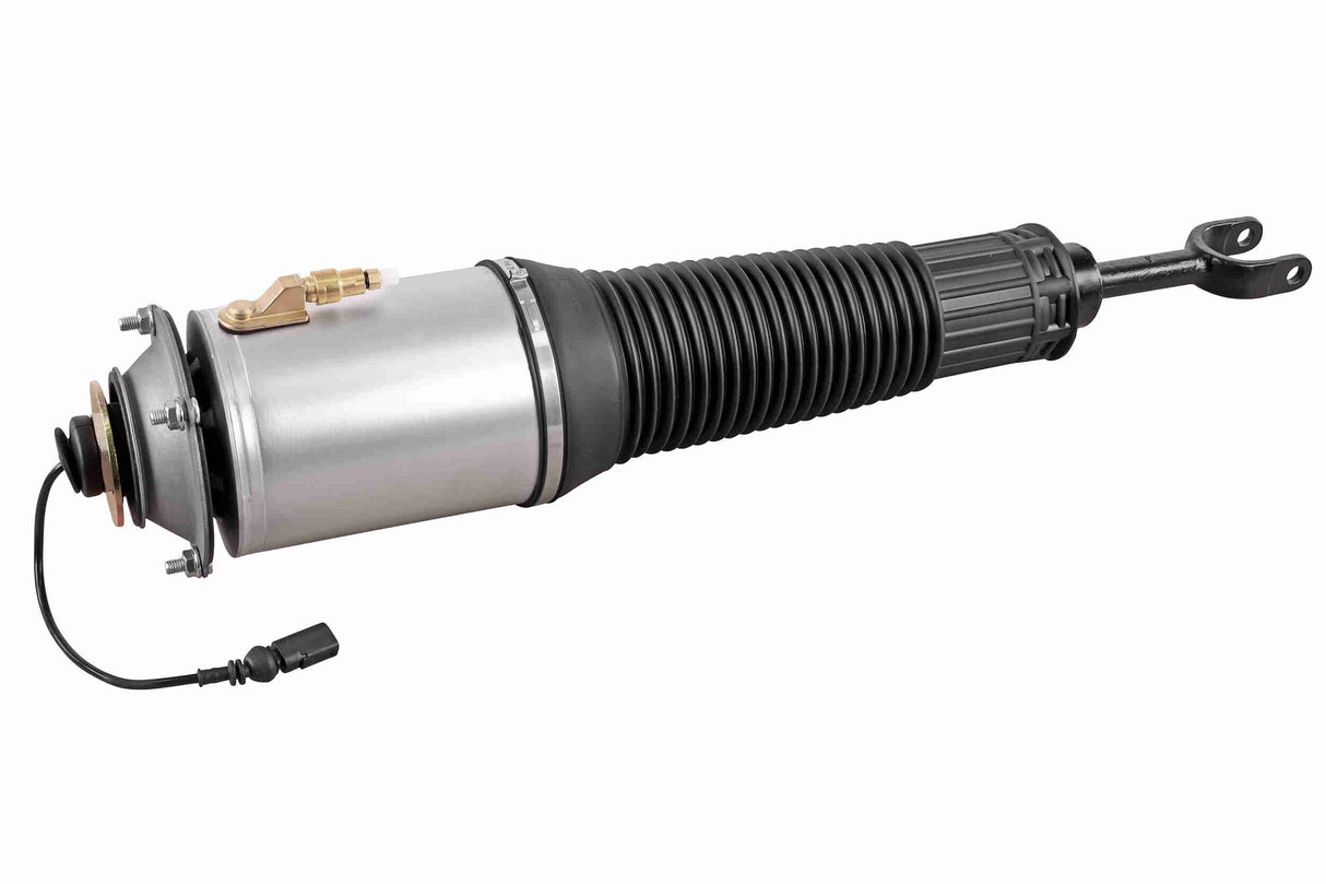Air Suspension Strut - V10-50-0014