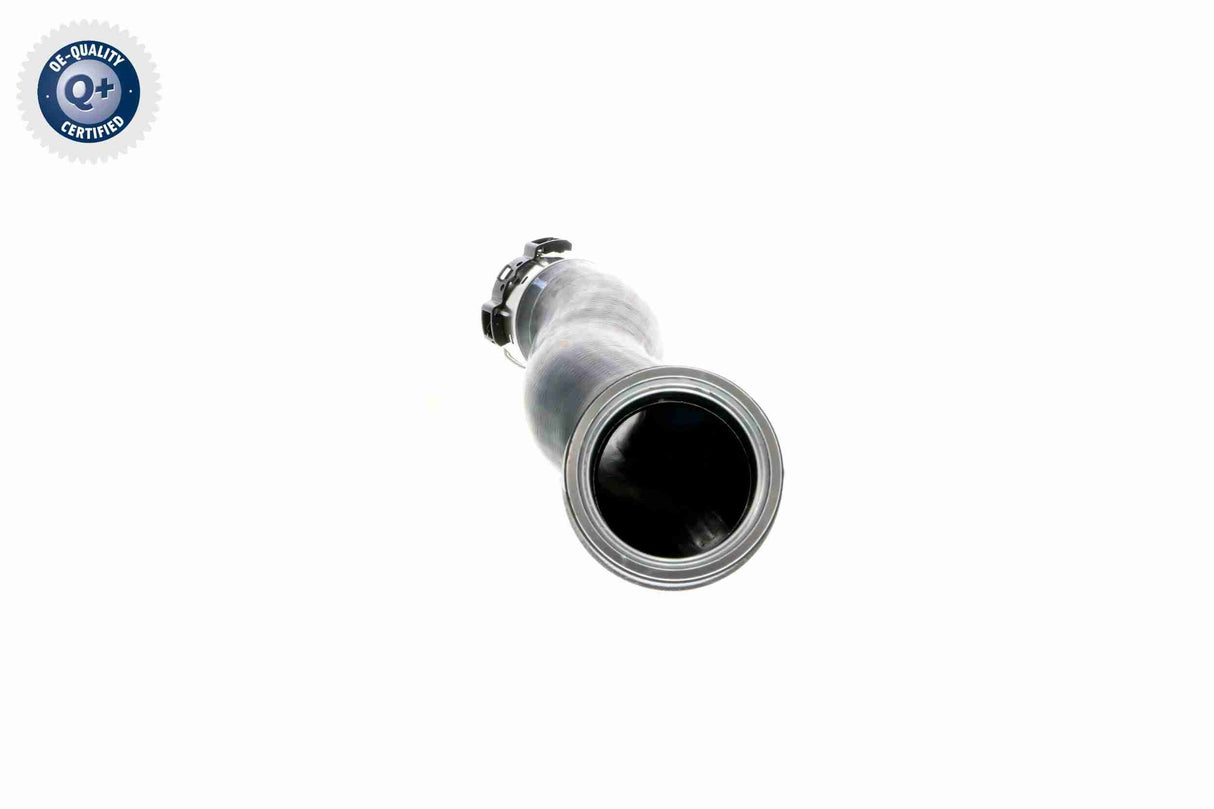 Charge Air Hose - V20-1618