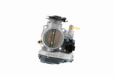Throttle Body - V10-81-0018