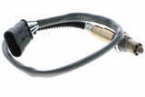 Oxygen Sensor - V24-76-0168