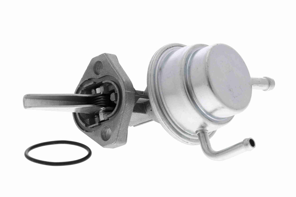 Fuel Pump - V10-0806