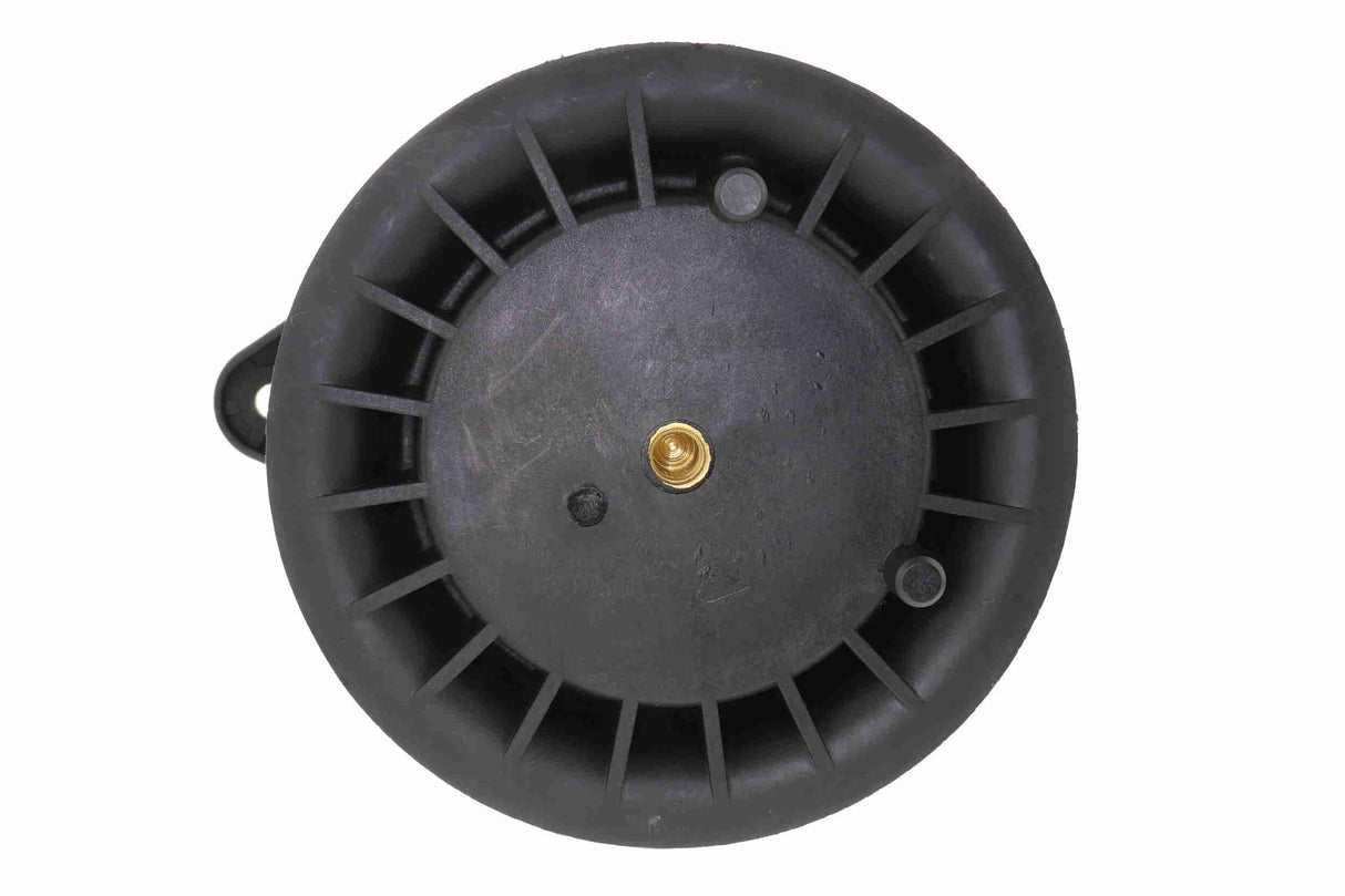 Air Spring, suspension - V22-50-0003