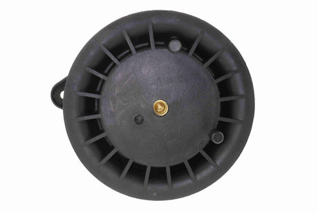 Air Spring, suspension - V22-50-0003