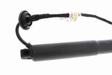 Electric Motor, tailgate - V95-55-0002