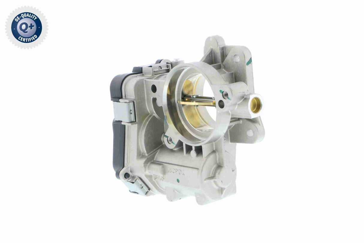 Throttle Body - V24-81-0007