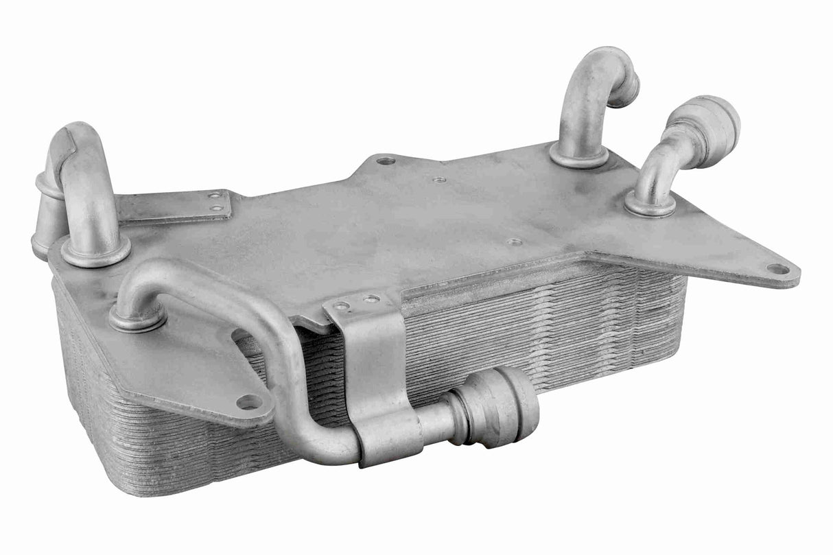Oil Cooler, automatic transmission - V10-60-0044