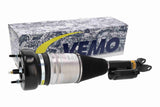 Air Suspension Strut - V30-50-0050