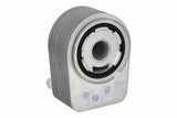Oil Cooler, engine oil - V33-60-0028