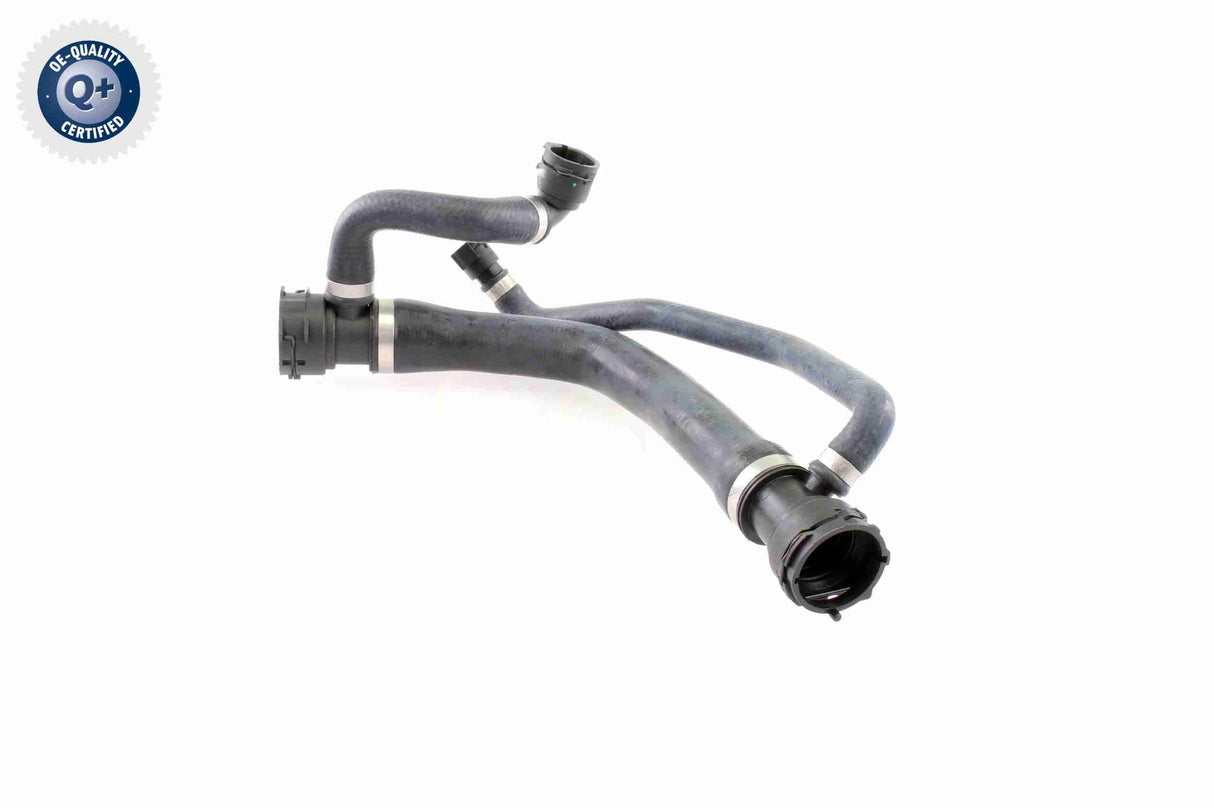 Radiator Hose - V20-1299