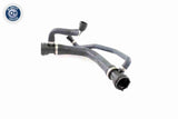 Radiator Hose - V20-1299