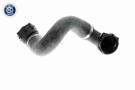 Radiator Hose - V20-1780