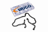 Radiator Hose - V20-3858