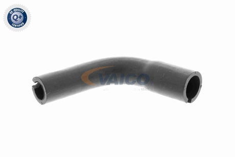 Hose, crankcase ventilation - V40-1991