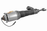Air Suspension Strut - V10-50-0019