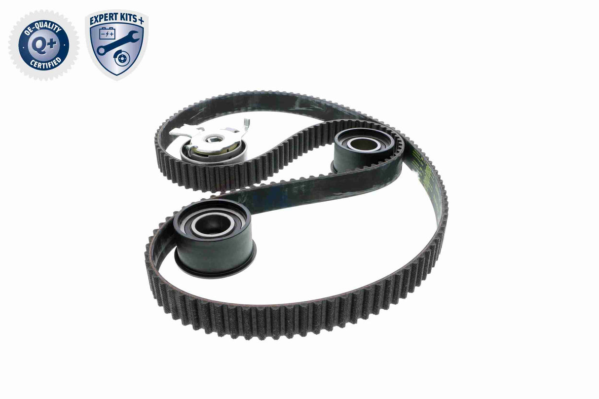 Timing Belt Kit - V40-0629