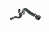Radiator Hose - V20-1713