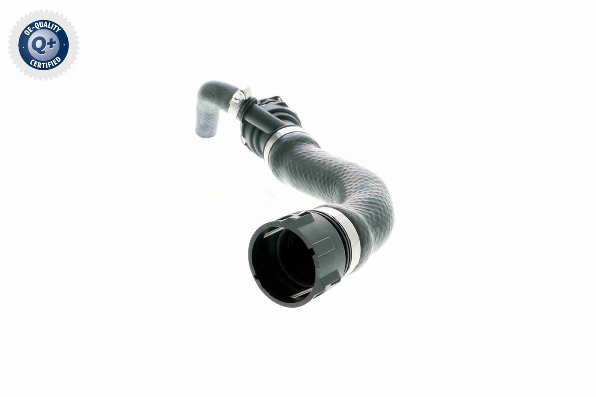 Radiator Hose - V20-1274