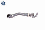 Radiator Hose - V20-1331