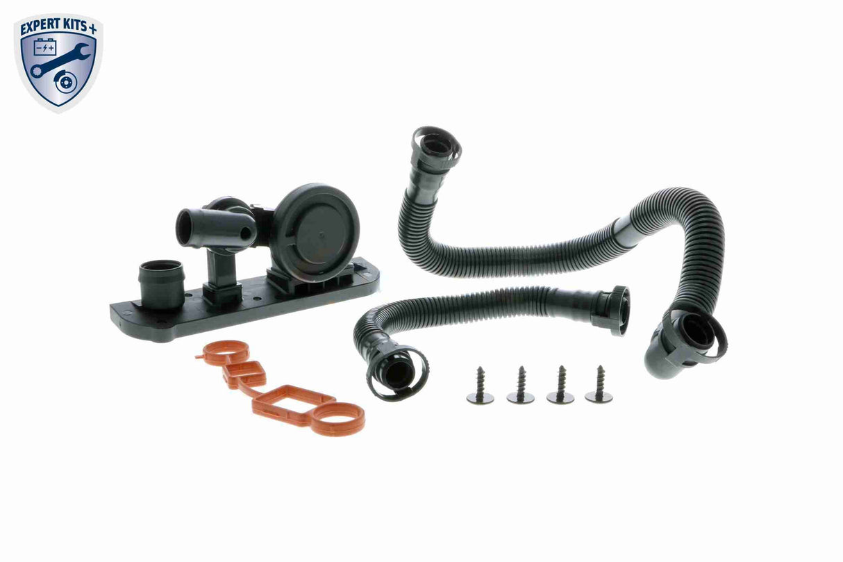 Repair Kit, crankcase ventilation - V10-3246