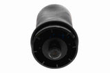 Air Suspension Strut - V20-50-0004-1