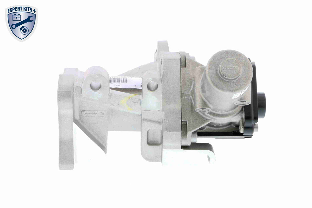 Valve, exhaust gas recirculation - V25-63-0015