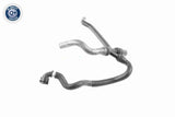 Radiator Hose - V20-2811