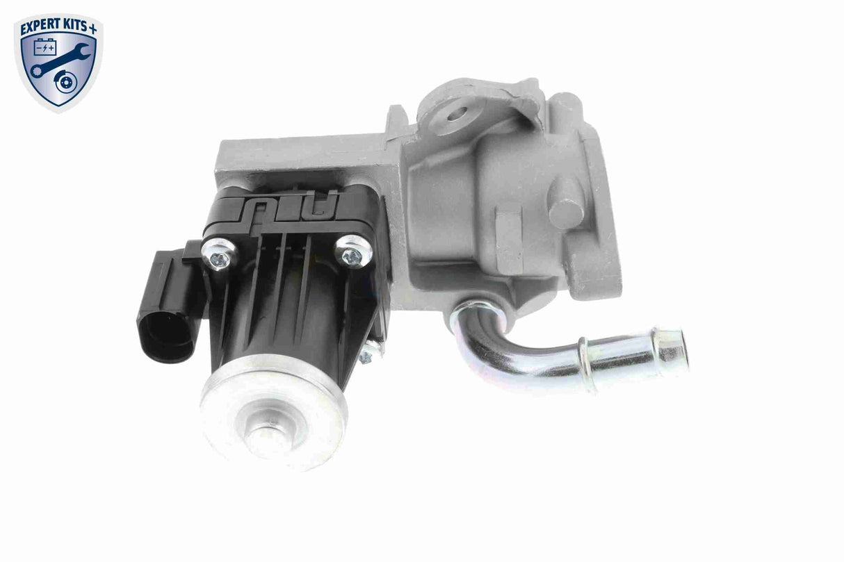 Valve, exhaust gas recirculation - V25-63-0019-1
